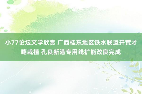 小77论坛文学欣赏 广西桂东地区铁水联运开荒才略栽植 孔良新港专用线扩能改良完成