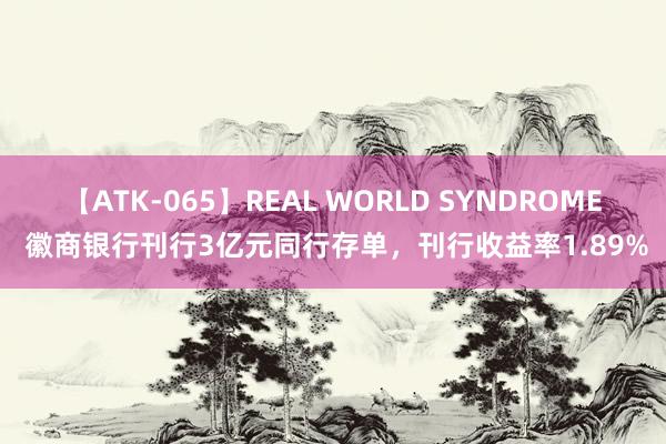 【ATK-065】REAL WORLD SYNDROME 徽商银行刊行3亿元同行存单，刊行收益率1.89%