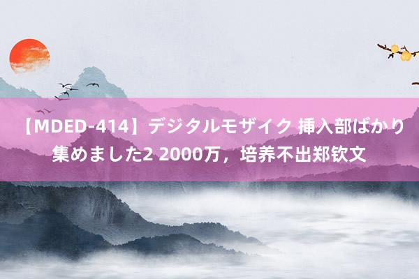 【MDED-414】デジタルモザイク 挿入部ばかり集めました2 2000万，培养不出郑钦文