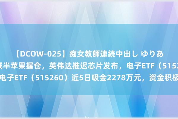 【DCOW-025】痴女教師連続中出し ゆりあ 大事件解读！巴菲特减半苹果握仓，英伟达推迟芯片发布，电子ETF（515260）近5日吸金2278万元，资金积极抢筹