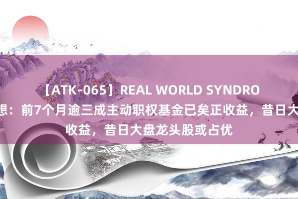 【ATK-065】REAL WORLD SYNDROME 一周基金回想：前7个月逾三成主动职权基金已矣正收益，昔日大盘龙头股或占优