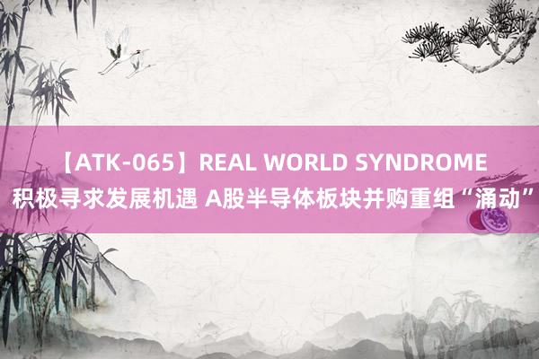 【ATK-065】REAL WORLD SYNDROME 积极寻求发展机遇 A股半导体板块并购重组“涌动”