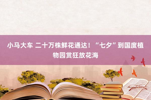 小马大车 二十万株鲜花通达！“七夕”到国度植物园赏狂放花海