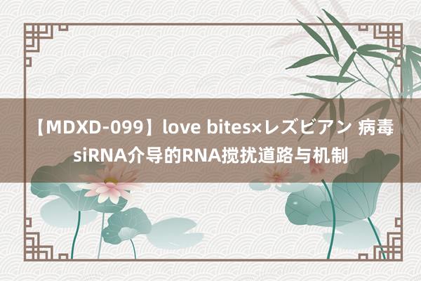 【MDXD-099】love bites×レズビアン 病毒siRNA介导的RNA搅扰道路与机制