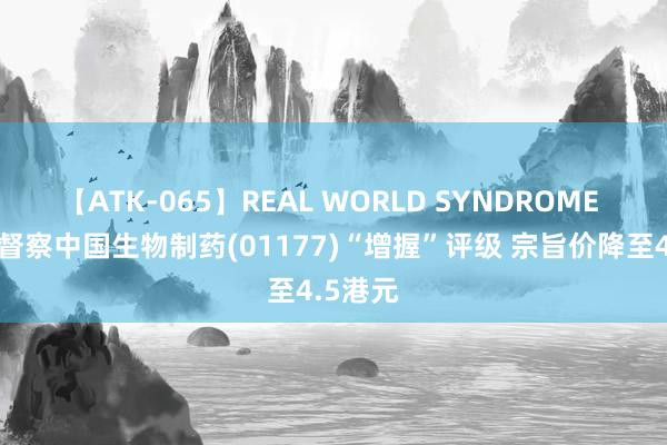 【ATK-065】REAL WORLD SYNDROME 大摩：督察中国生物制药(01177)“增握”评级 宗旨价降至4.5港元