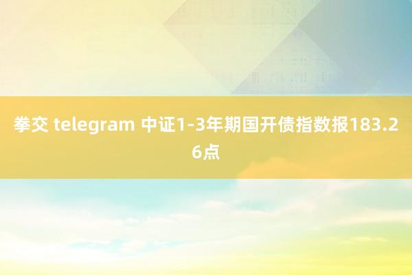 拳交 telegram 中证1-3年期国开债指数报183.26点