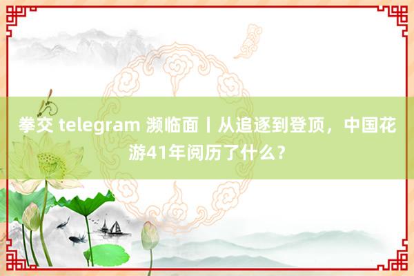 拳交 telegram 濒临面丨从追逐到登顶，中国花游41年阅历了什么？