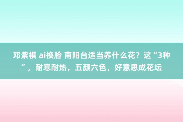 邓紫棋 ai换脸 南阳台适当养什么花？这“3种”，耐寒耐热，五颜六色，好意思成花坛