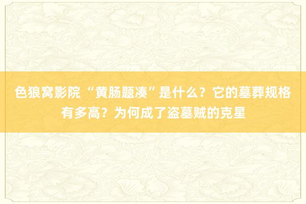 色狼窝影院 “黄肠题凑”是什么？它的墓葬规格有多高？为何成了盗墓贼的克星