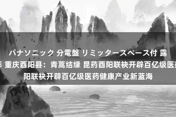 パナソニック 分電盤 リミッタースペース付 露出・半埋込両用形 重庆酉阳县：青蒿结缘 昆药酉阳联袂开辟百亿级医药健康产业新蓝海