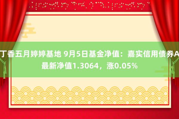 丁香五月婷婷基地 9月5日基金净值：嘉实信用债券A最新净值1.3064，涨0.05%