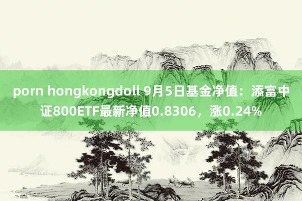 porn hongkongdoll 9月5日基金净值：添富中证800ETF最新净值0.8306，涨0.24%