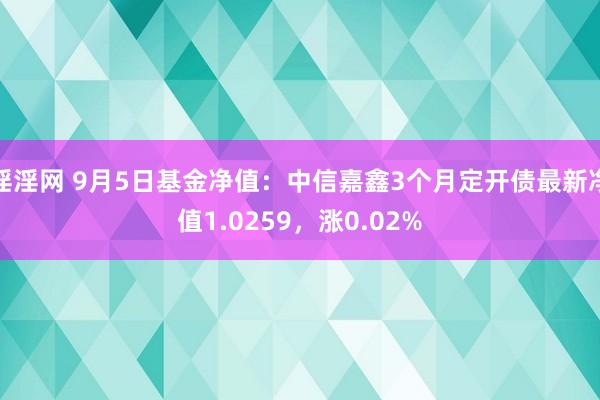 淫淫网 9月5日基金净值：中信嘉鑫3个月定开债最新净值1.0259，涨0.02%