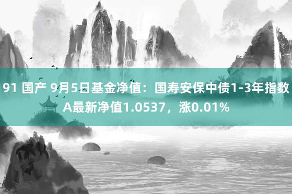 91 国产 9月5日基金净值：国寿安保中债1-3年指数A最新净值1.0537，涨0.01%