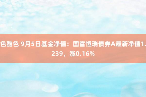 色酷色 9月5日基金净值：国富恒瑞债券A最新净值1.239，涨0.16%