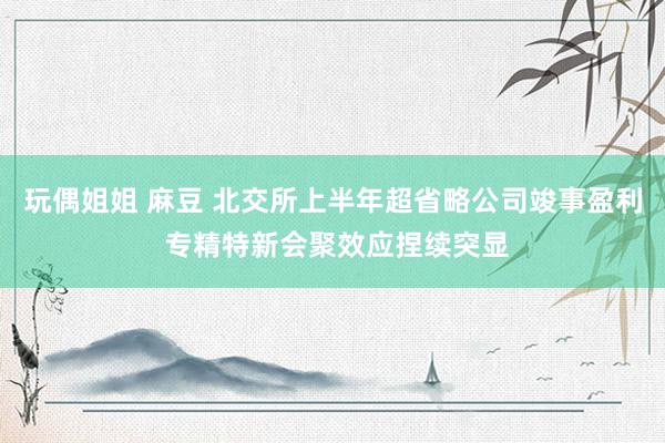 玩偶姐姐 麻豆 北交所上半年超省略公司竣事盈利 专精特新会聚效应捏续突显