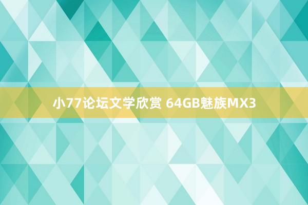 小77论坛文学欣赏 64GB魅族MX3