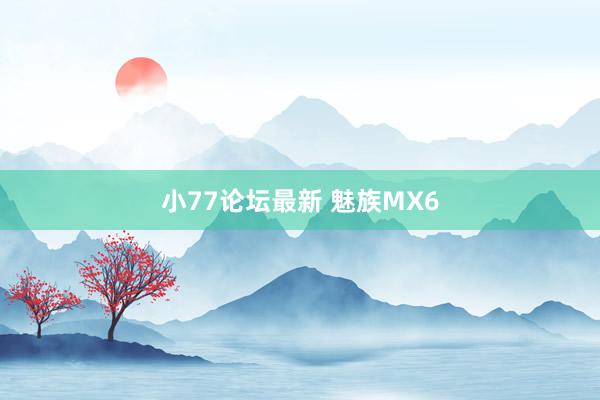 小77论坛最新 魅族MX6