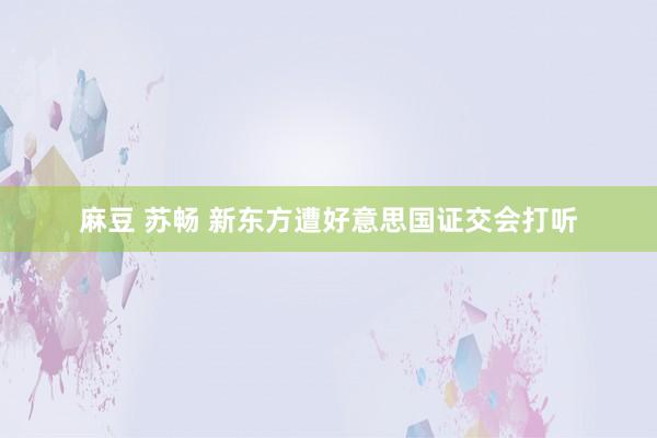 麻豆 苏畅 新东方遭好意思国证交会打听