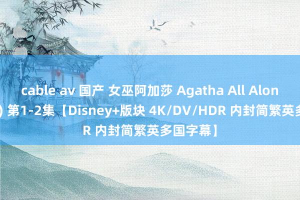 cable av 国产 女巫阿加莎 Agatha All Along (2024) 第1-2集【Disney+版块 4K/DV/HDR 内封简繁英多国字幕】